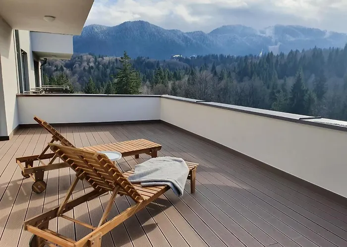 Silver Fox Residence