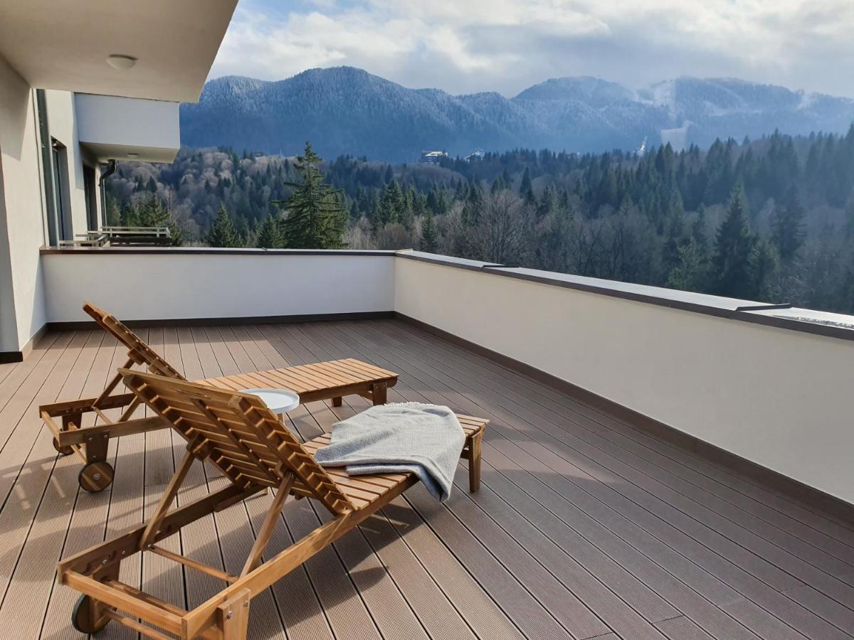 Appartement Silver Fox *