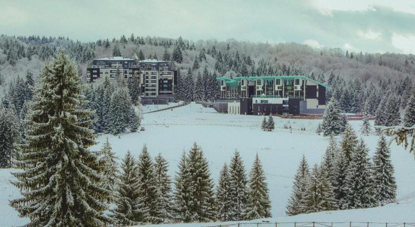 Appartement Silver Fox Poiana Brasov
