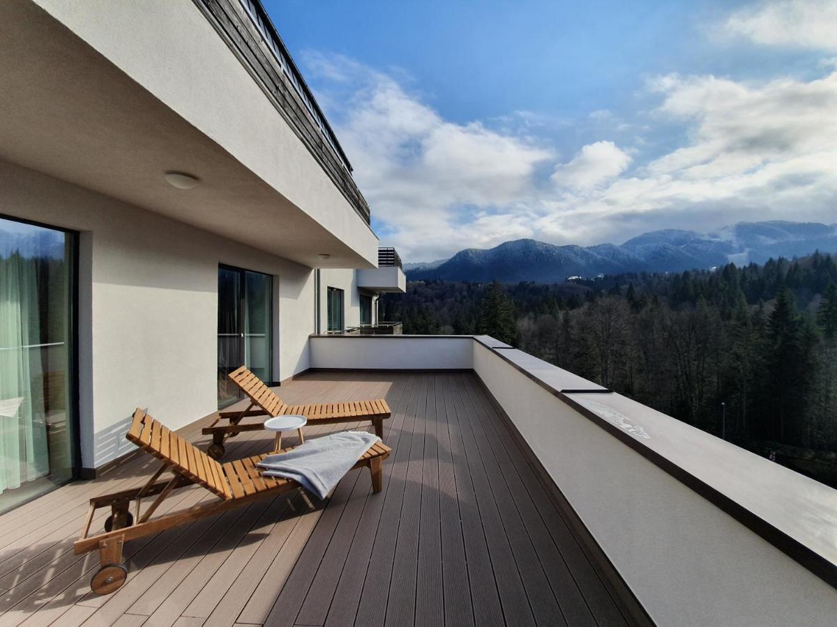 Appartement Silver Fox *